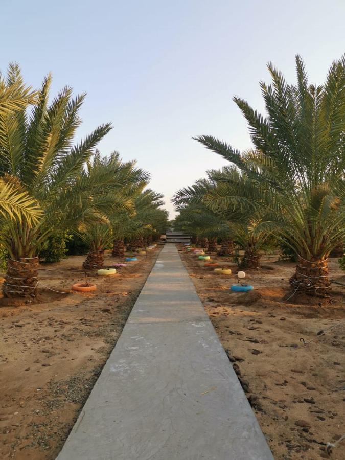 Almazham Camp Resort Al Ula Eksteriør bilde