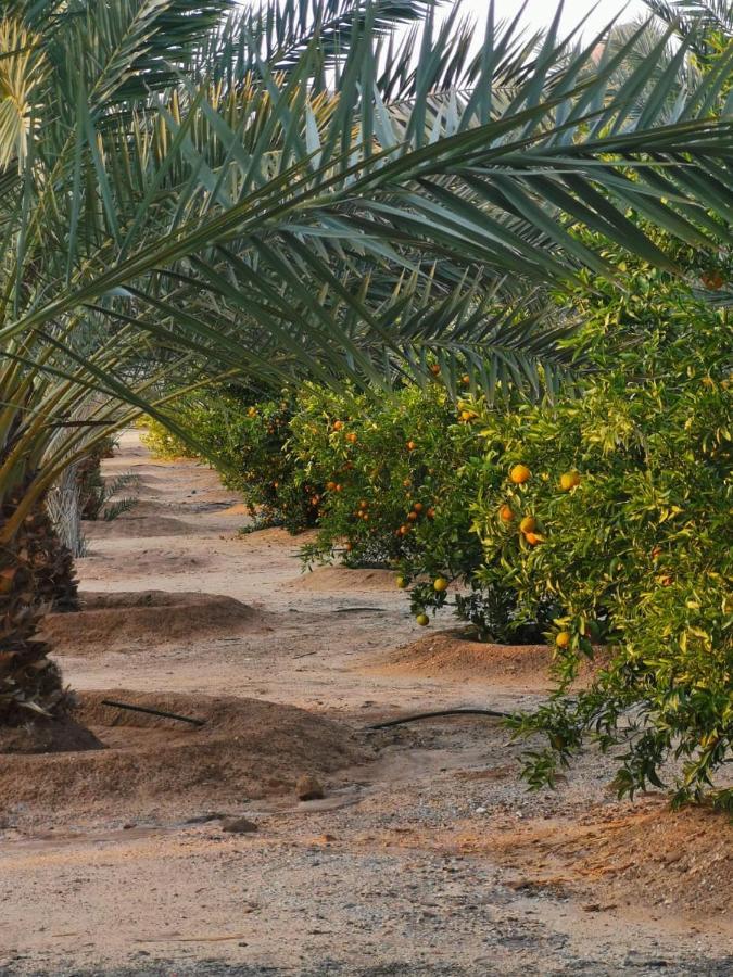 Almazham Camp Resort Al Ula Eksteriør bilde