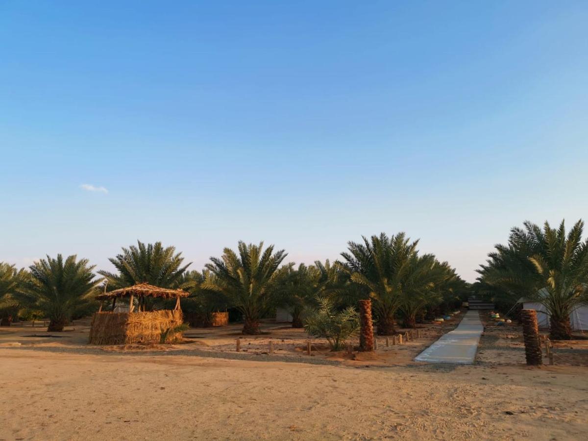 Almazham Camp Resort Al Ula Eksteriør bilde
