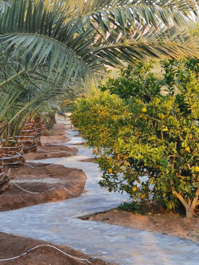 Almazham Camp Resort Al Ula Eksteriør bilde